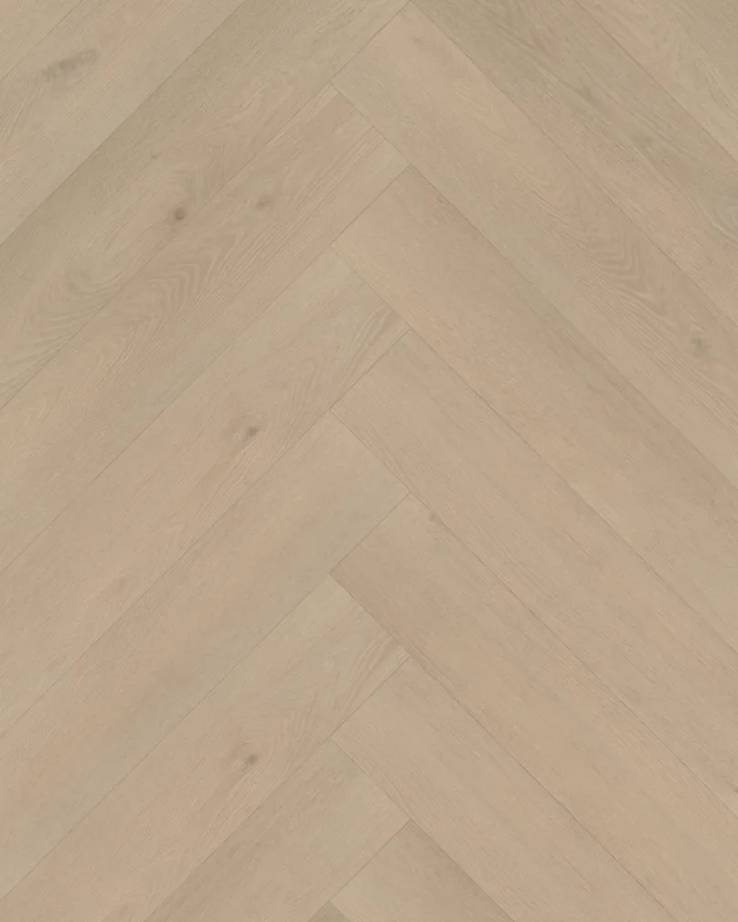 Belakos Palazzo visgraat XL 74 plak