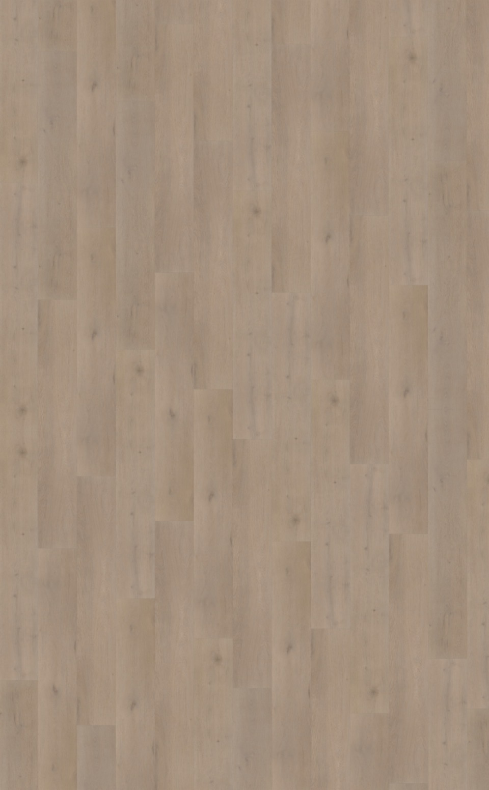 belakos attico 830 plak pvc