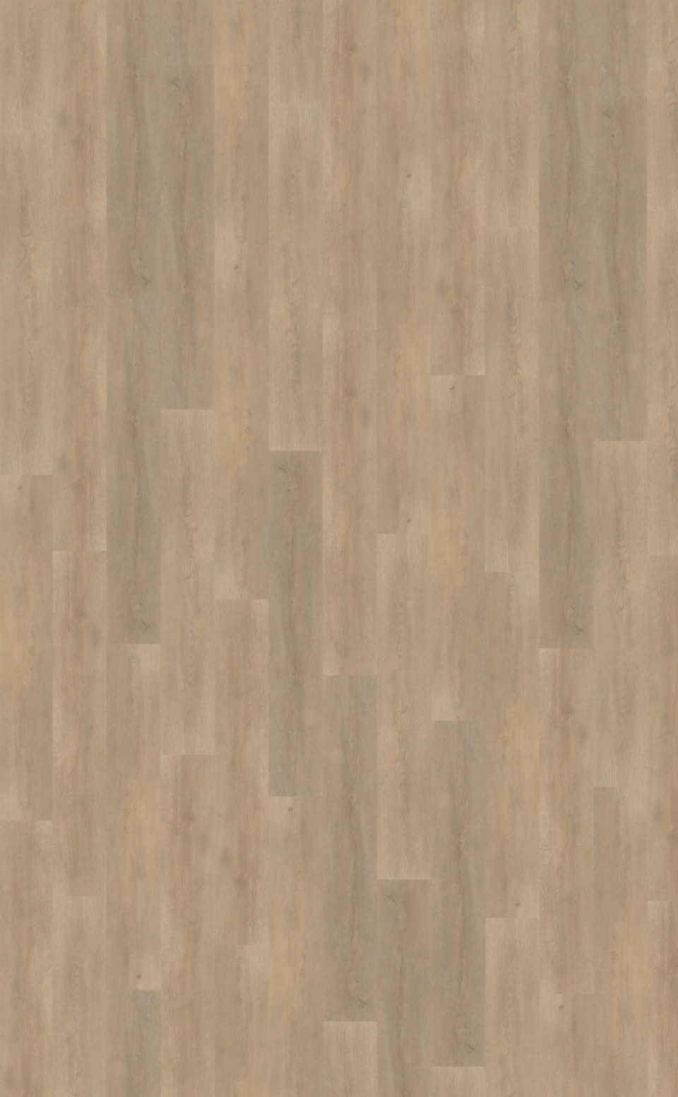 belakos palazzo 710 plak pvc