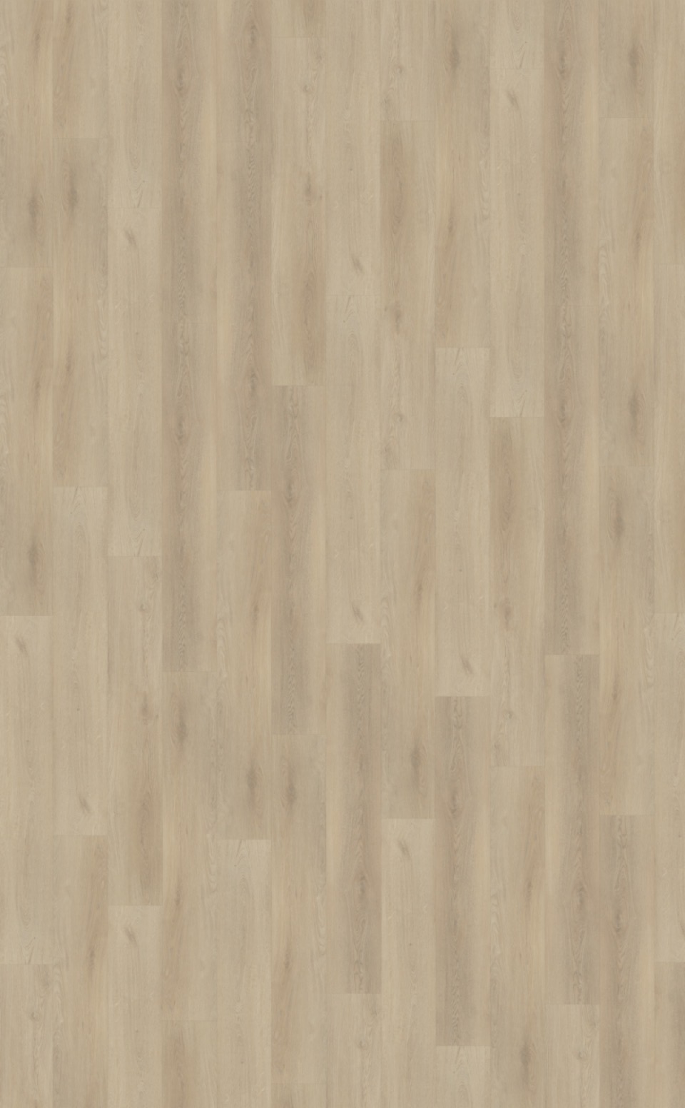 belakos palazzo 730 plak pvc