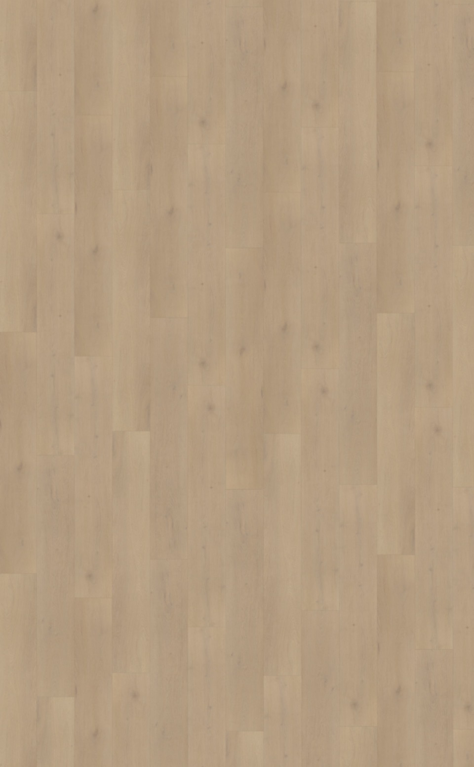 belakos palazzo 770 plak pvc