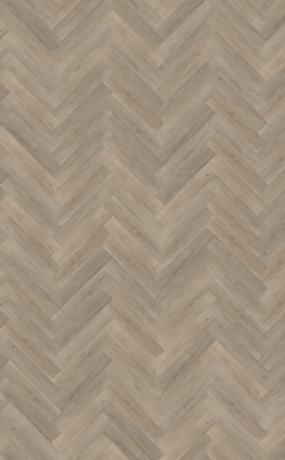 belakos palazzo visgraat xl 70 plak pvc