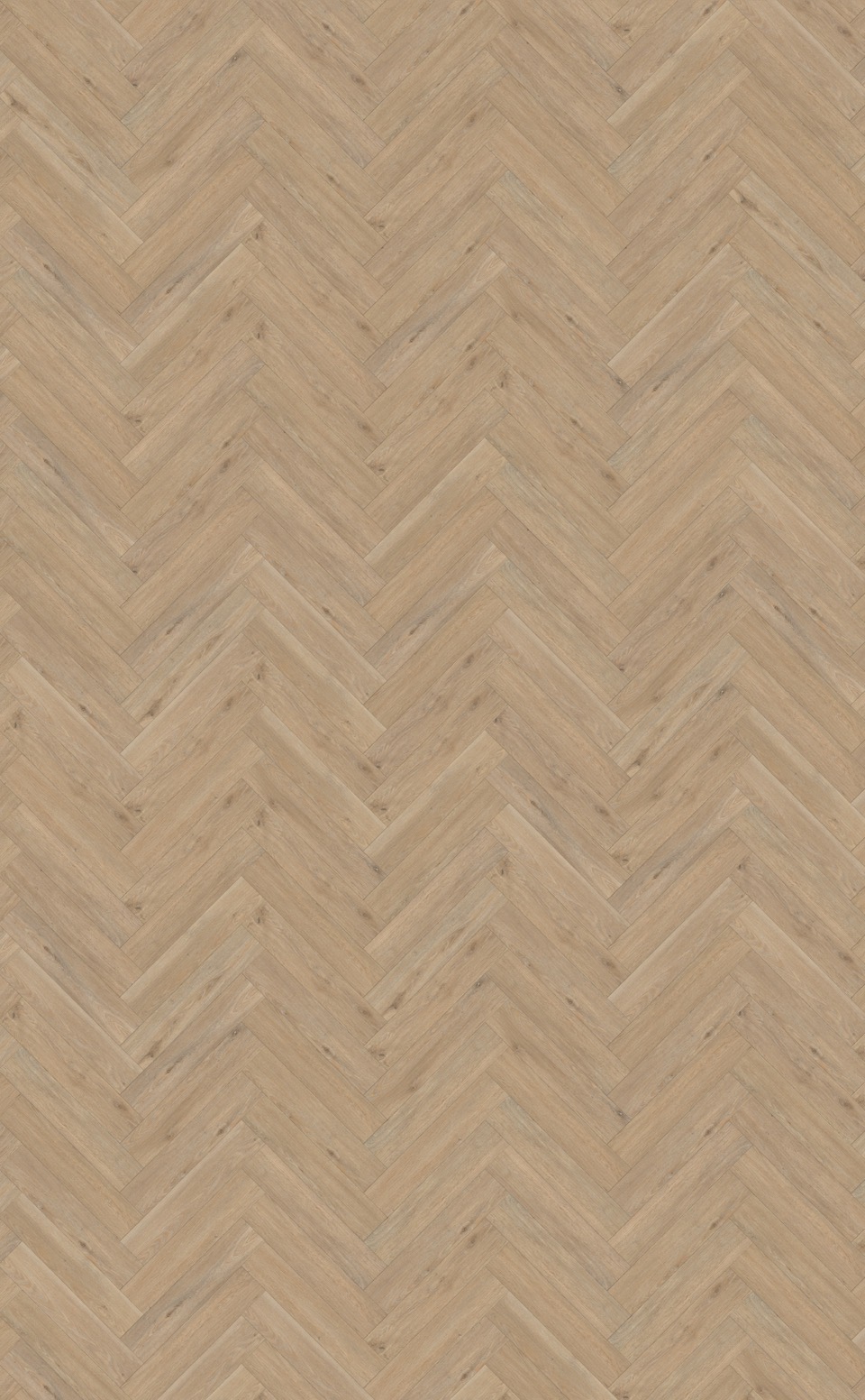 belakos rustico visgraat 50 plak pvc