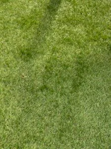 voordeel kunstgras 25mm (op maat)