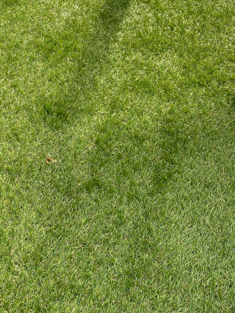 voordeel kunstgras 25mm (op maat)
