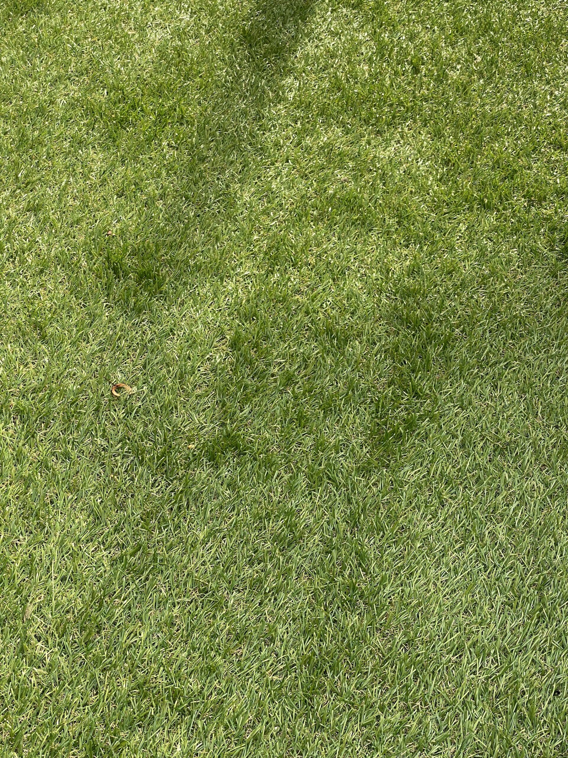 voordeel kunstgras 25mm (op maat)