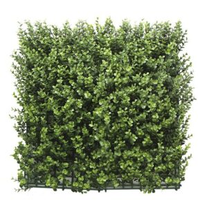 Kunsthaag Leah Buxus