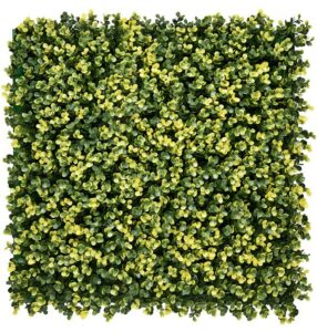 Kunsthaag Lina Buxus