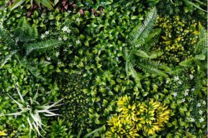 Kunsthaag Martina Spring
