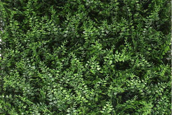 Kunsthaag Tess Ferns