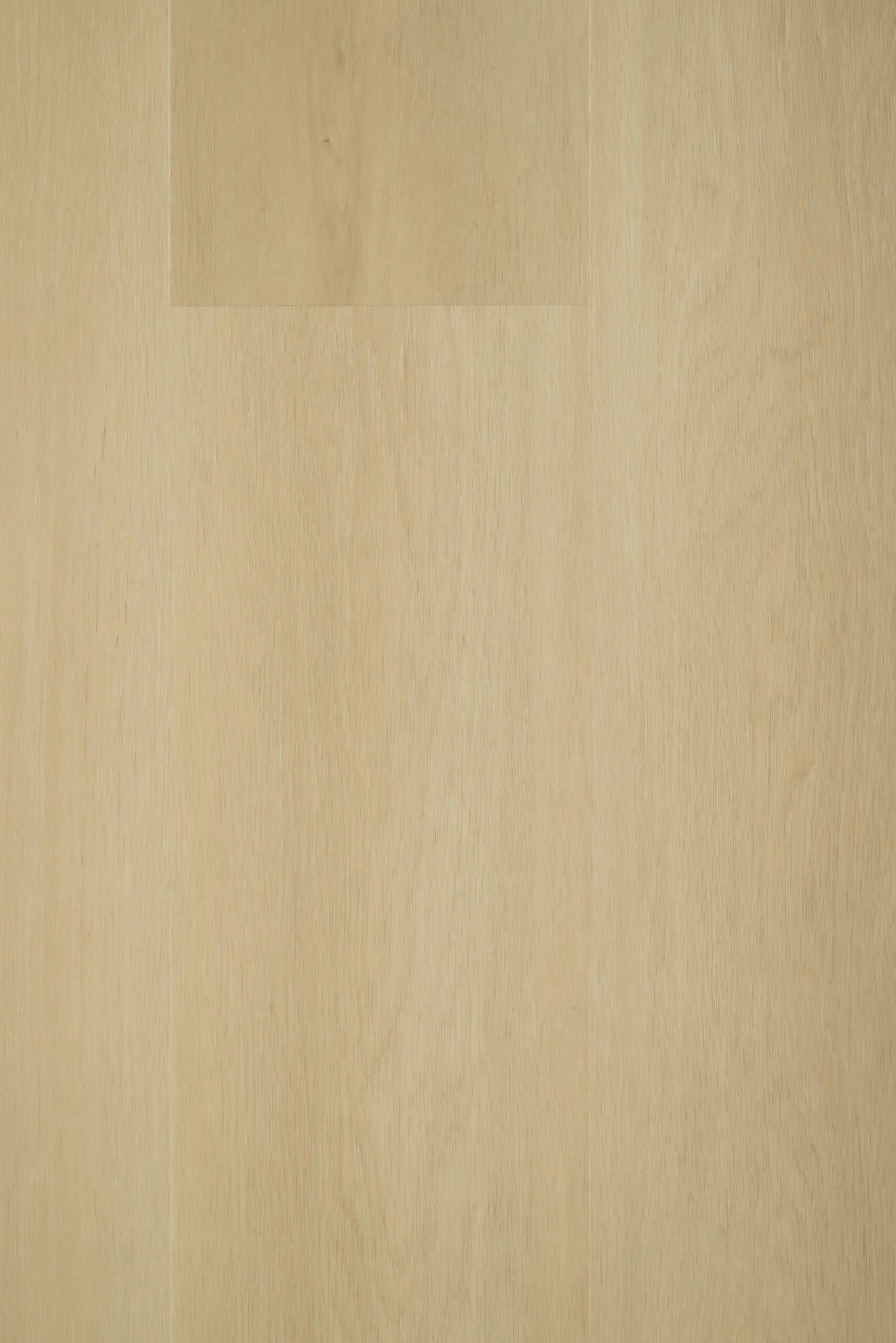 Givefloors Strook PVC plak 02 – Ultra Matte Look