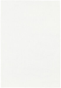 Vloerkleed Marshall Wit 6268