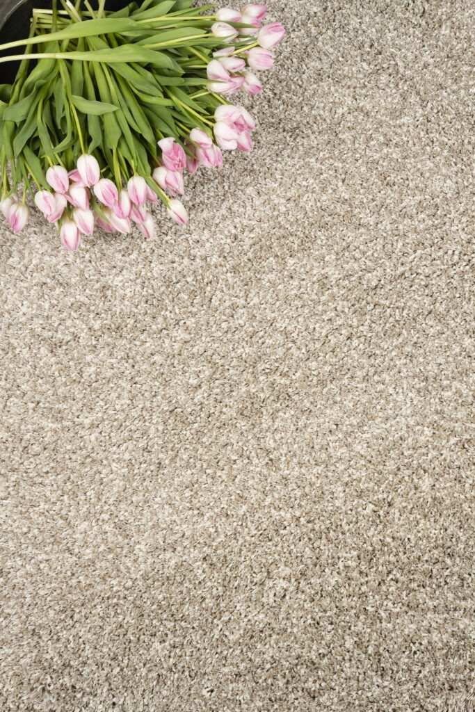 Vloerkleed Twilight Beige 2211