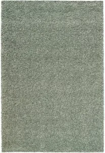 Vloerkleed Twilight Groen/Grijs 4422
