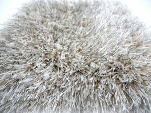Vloerkleed LoveShaggy Beige