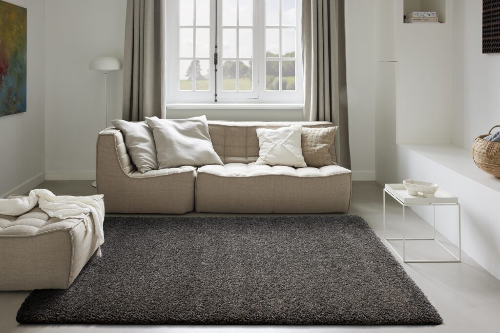 Vloerkleed Twilight 7733