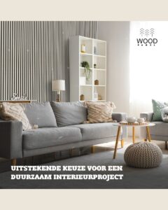 Akoestisch Wandpaneel - Licht Eiken - 270x60cm (2 pack)