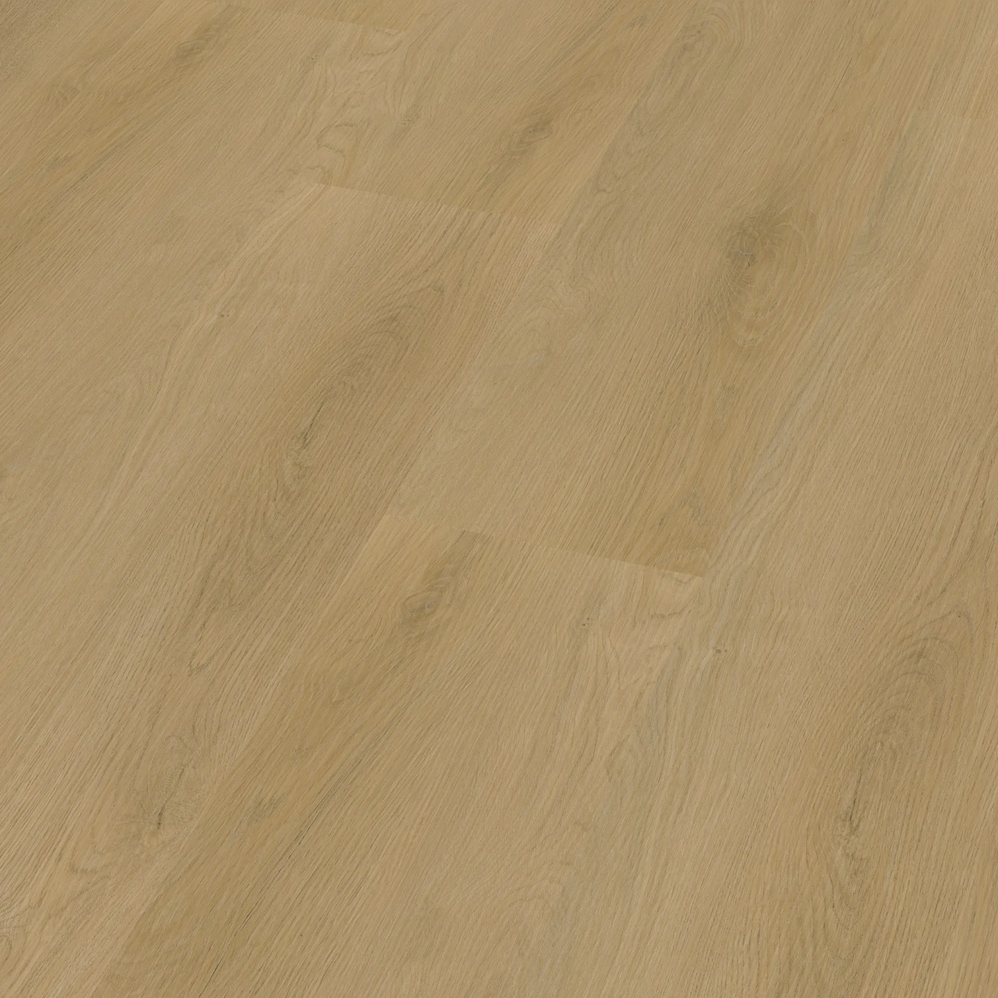Navaro Dryback Light Oak