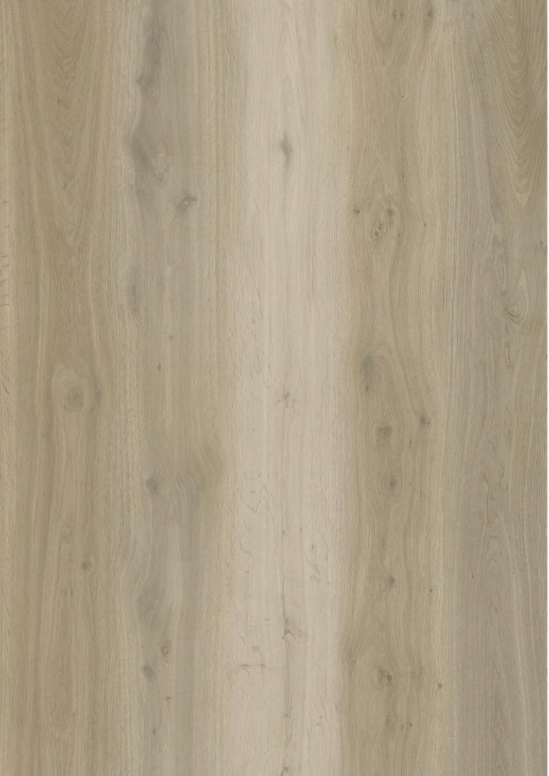 Partij Plak PVC Harbour beige oak