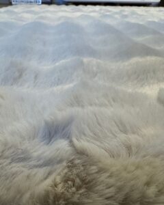 cloudy vloerkleed creme