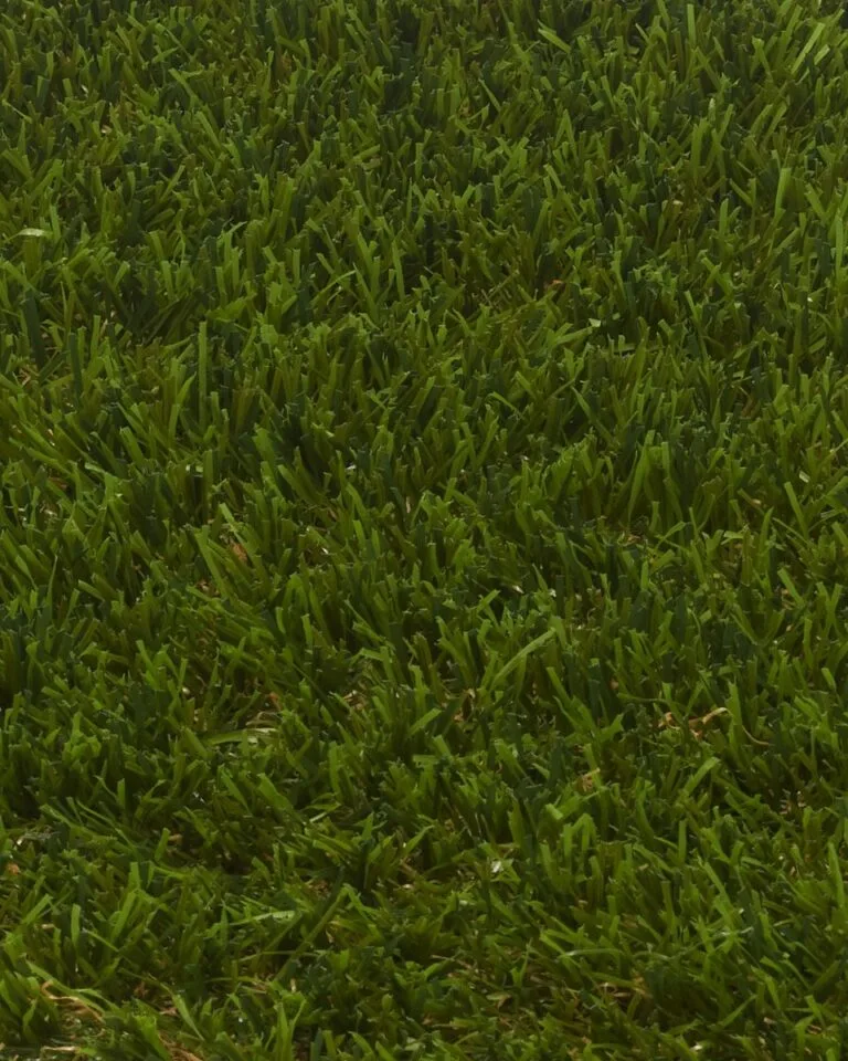 nice kunstgras 42mm