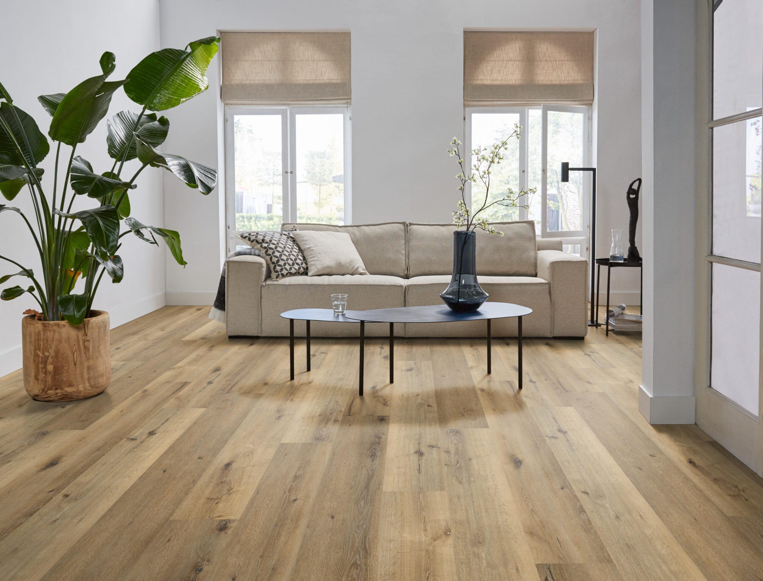 essenzo click src dark oak