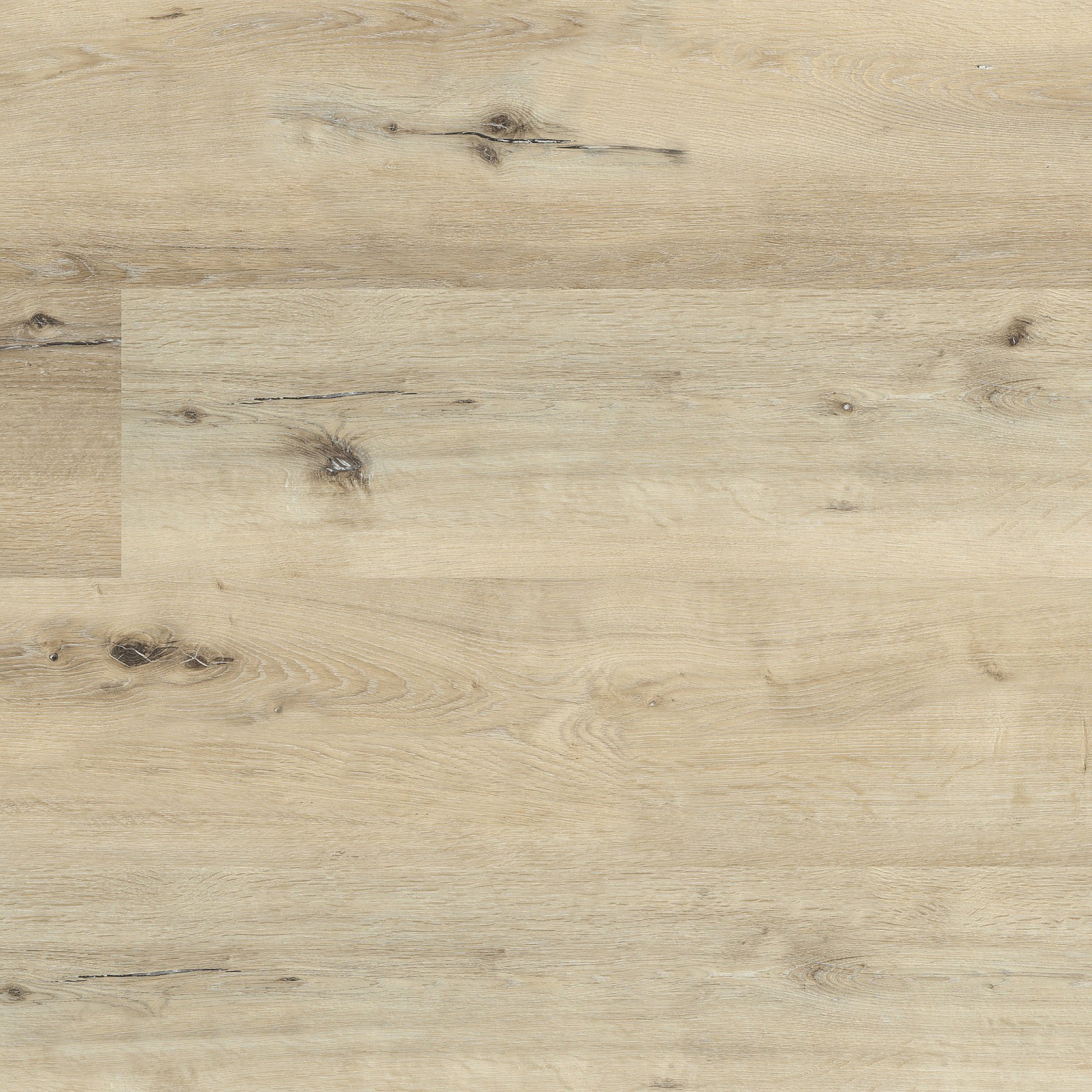 essenzo click src light oak