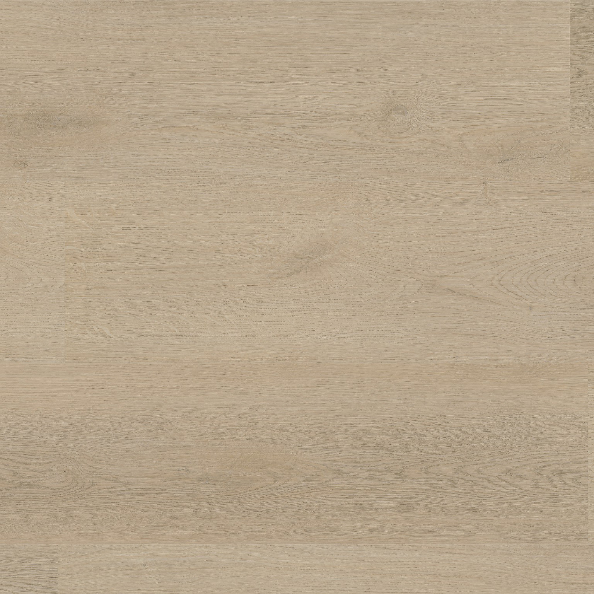 navaro click beige