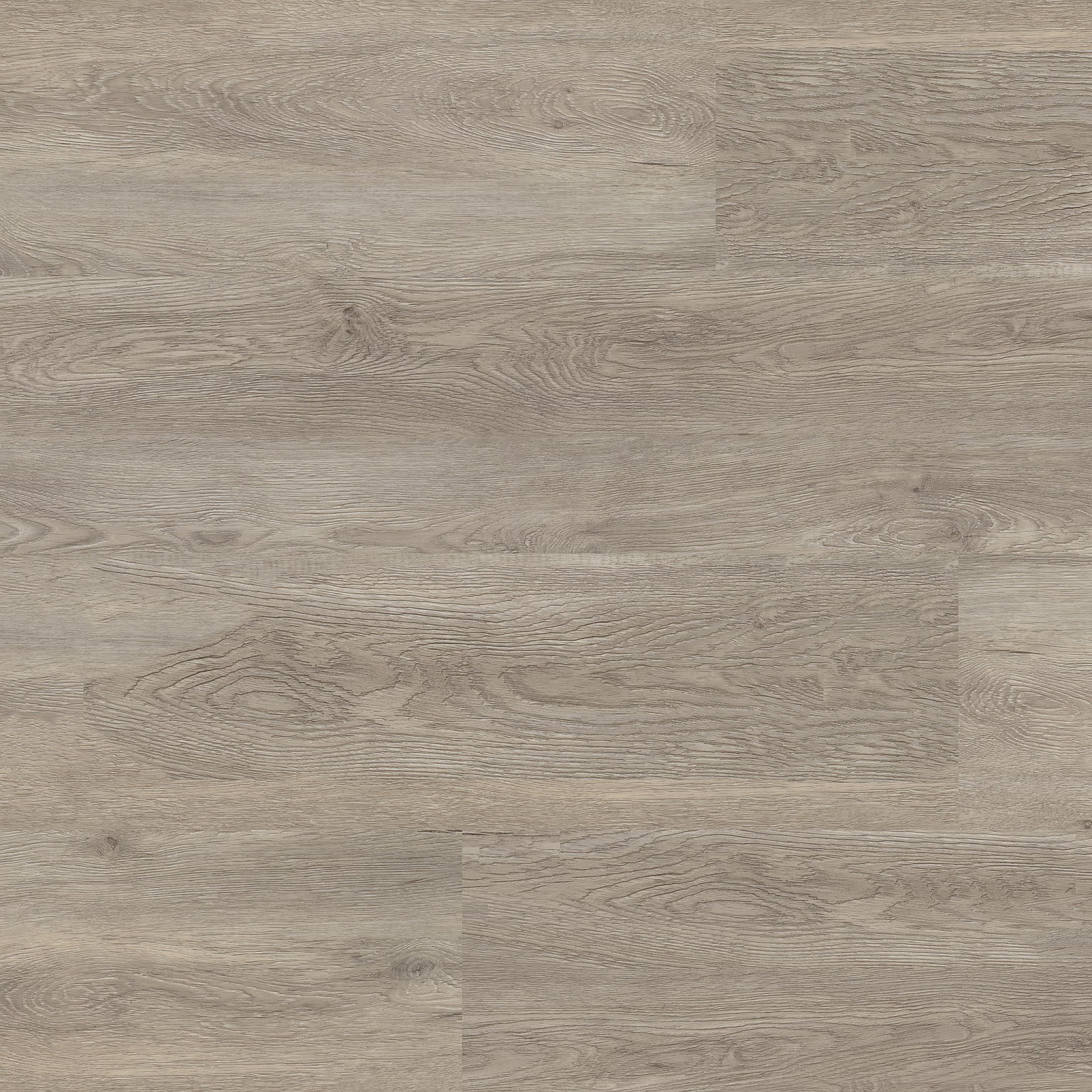 supremo dryback light grey
