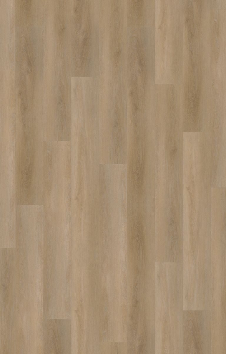 belakos attico 810 rigid click pvc