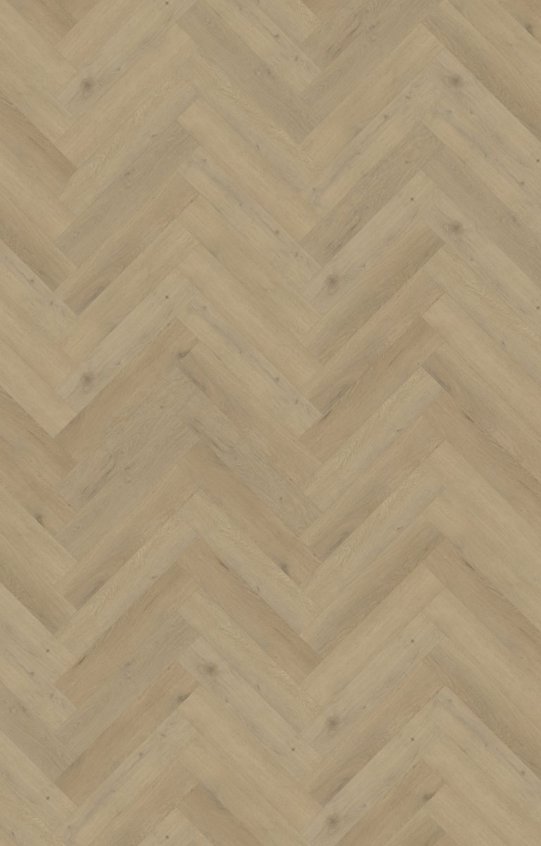 belakos attico visgraat xl 87 plak pvc