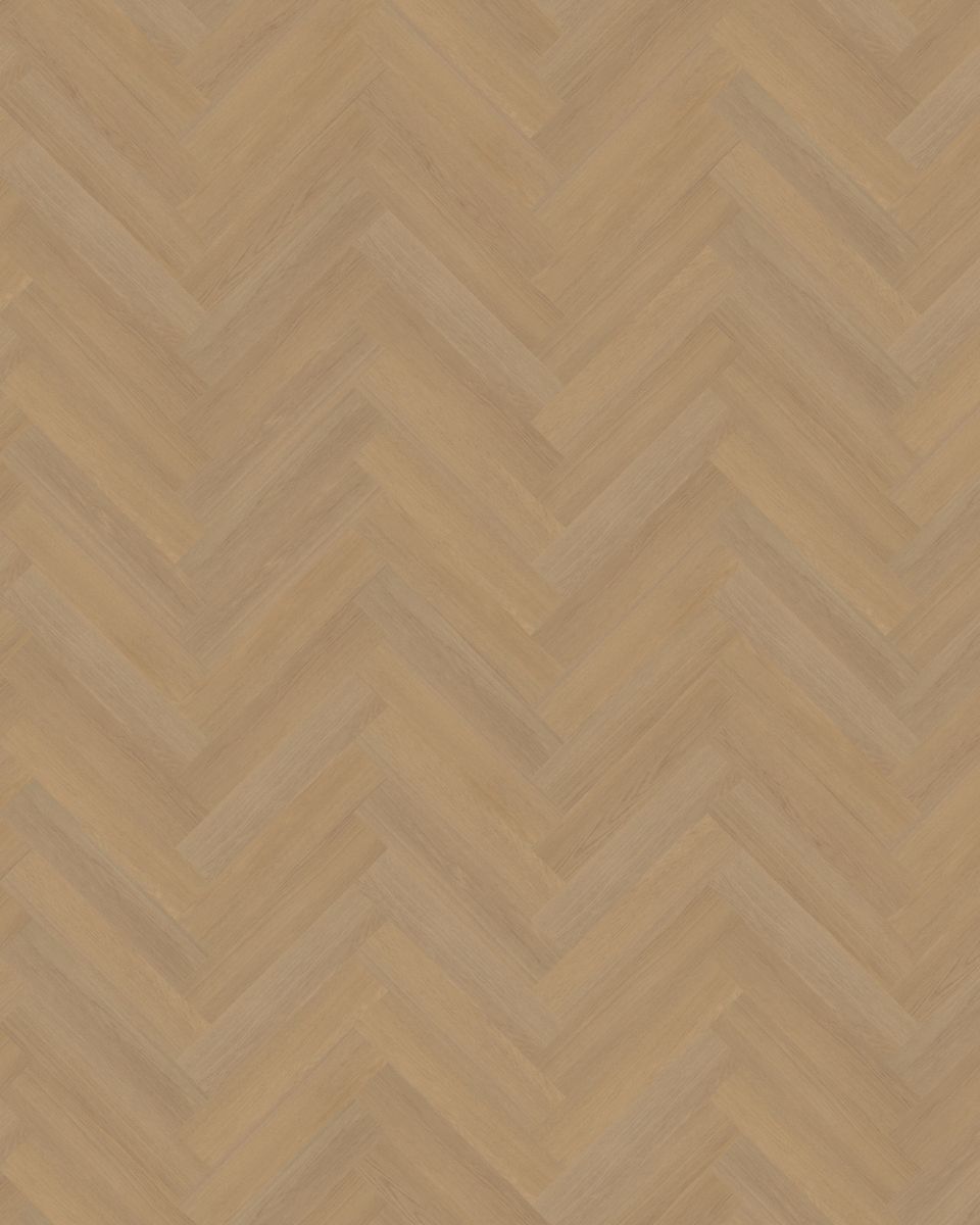 belakos futuro visgraat xl 50 plak pvc