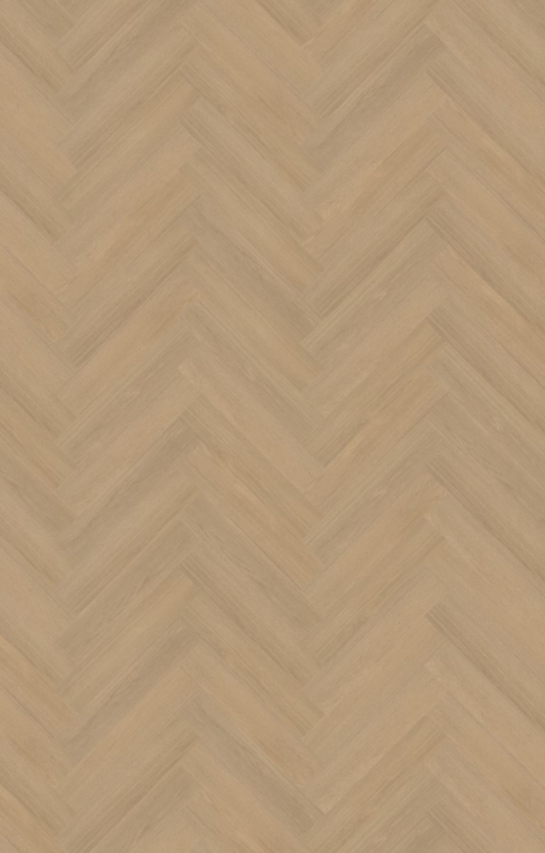 belakos futuro visgraat xl 51 plak pvc