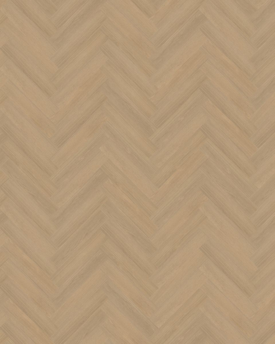 belakos futuro visgraat xl 51 plak pvc