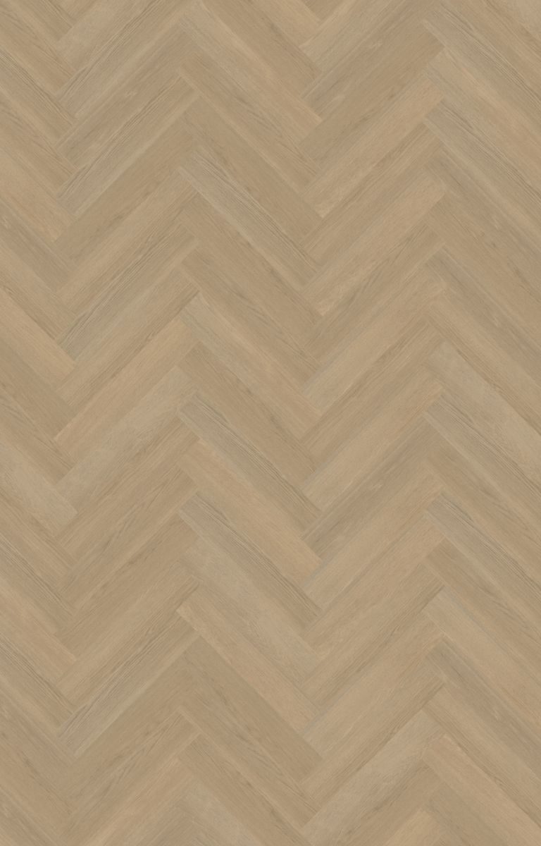 belakos futuro visgraat xl 53 plak pvc