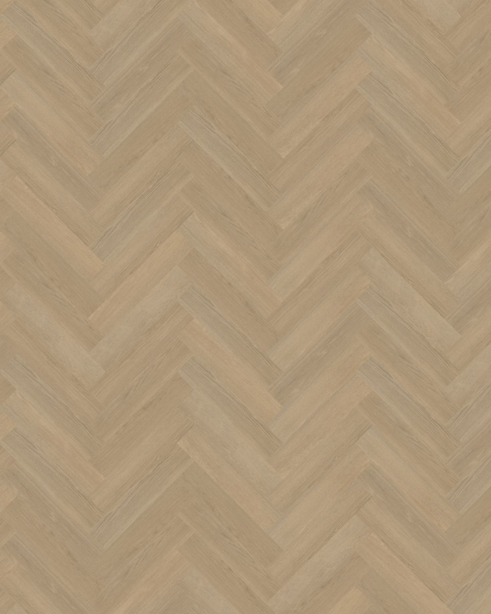 belakos futuro visgraat xl 53 plak pvc