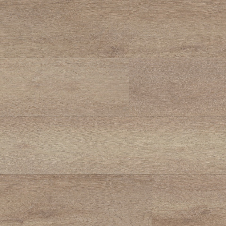 ambiant laminaat livera lichtbeige eiken