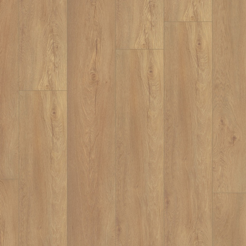 ambiant laminaat saarland honing eiken