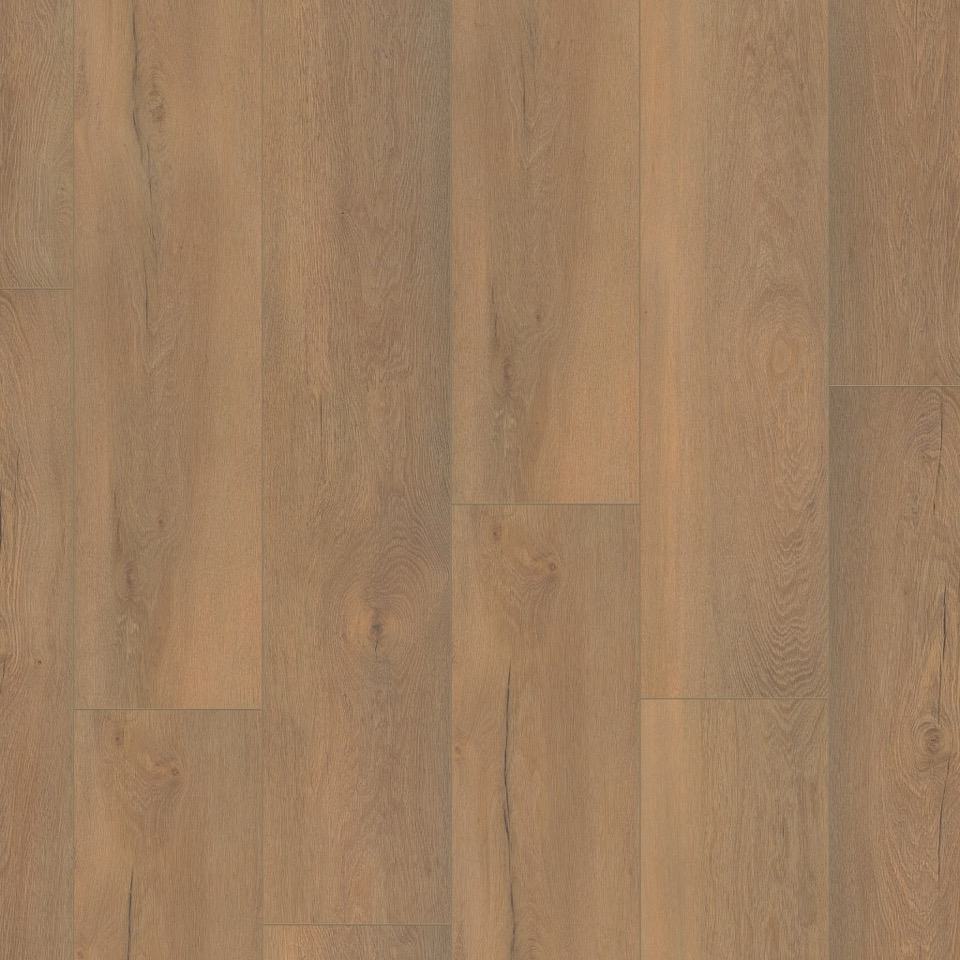 ambiant laminaat saarland natuur eiken