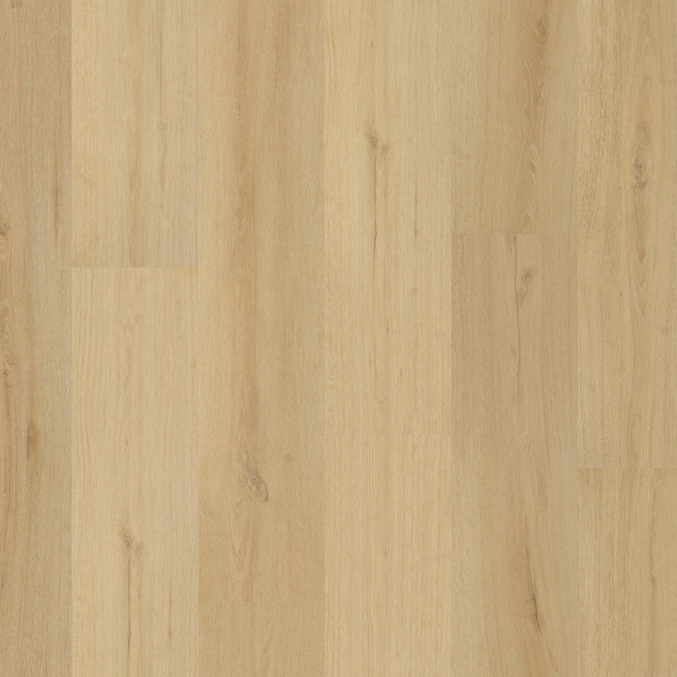 ambiant valento dryback natural