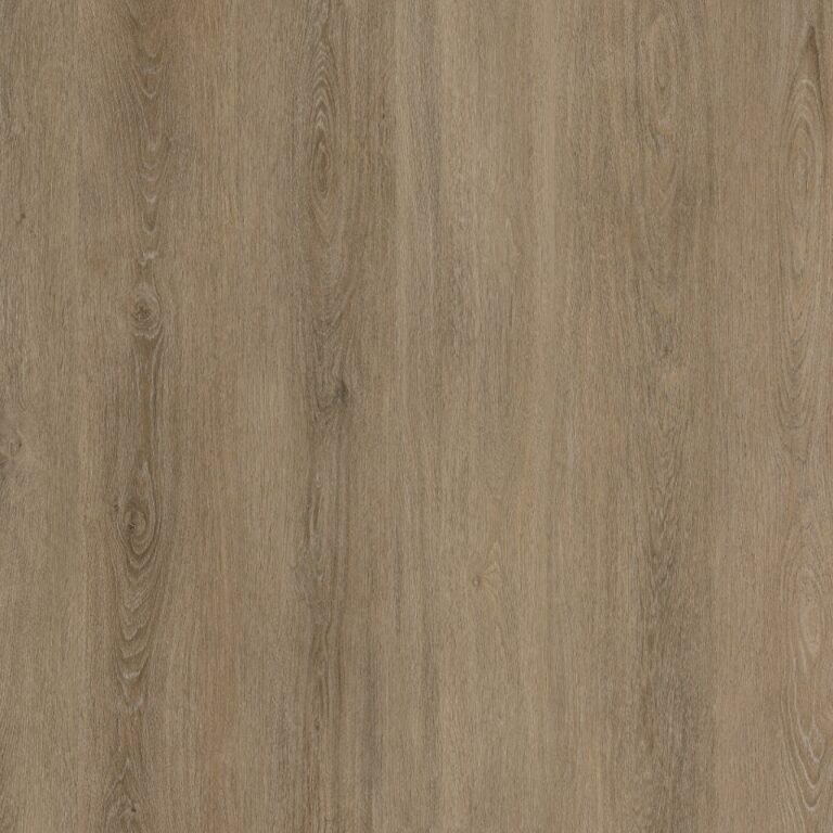 ambiant viranto dryback smoky
