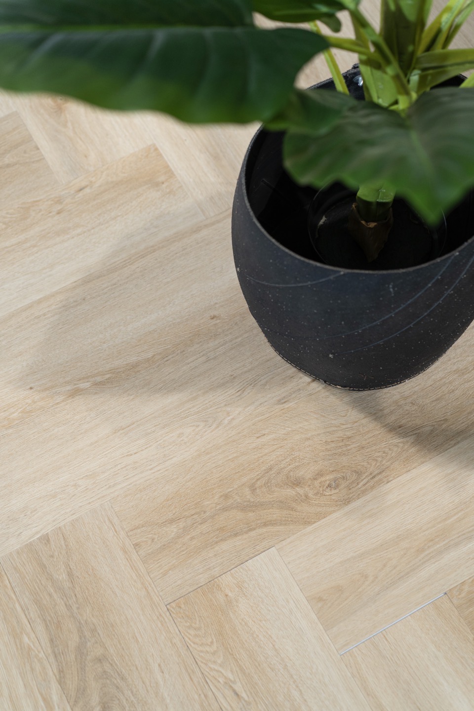 hamat identity 908 authentic visgraat 8011 plak pvc