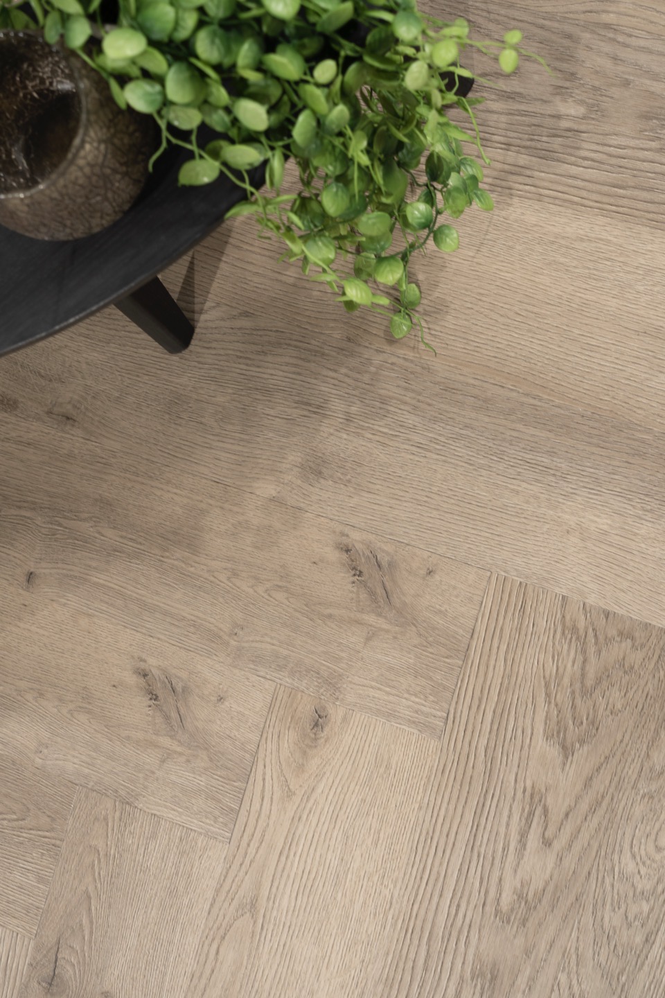 hamat identity 908 authentic visgraat 8018 plak pvc