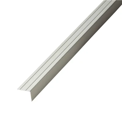 co pro hoekprofiel zelfklevend 20mm rvs 2,7 meter