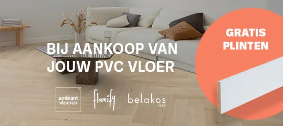 plinten actie