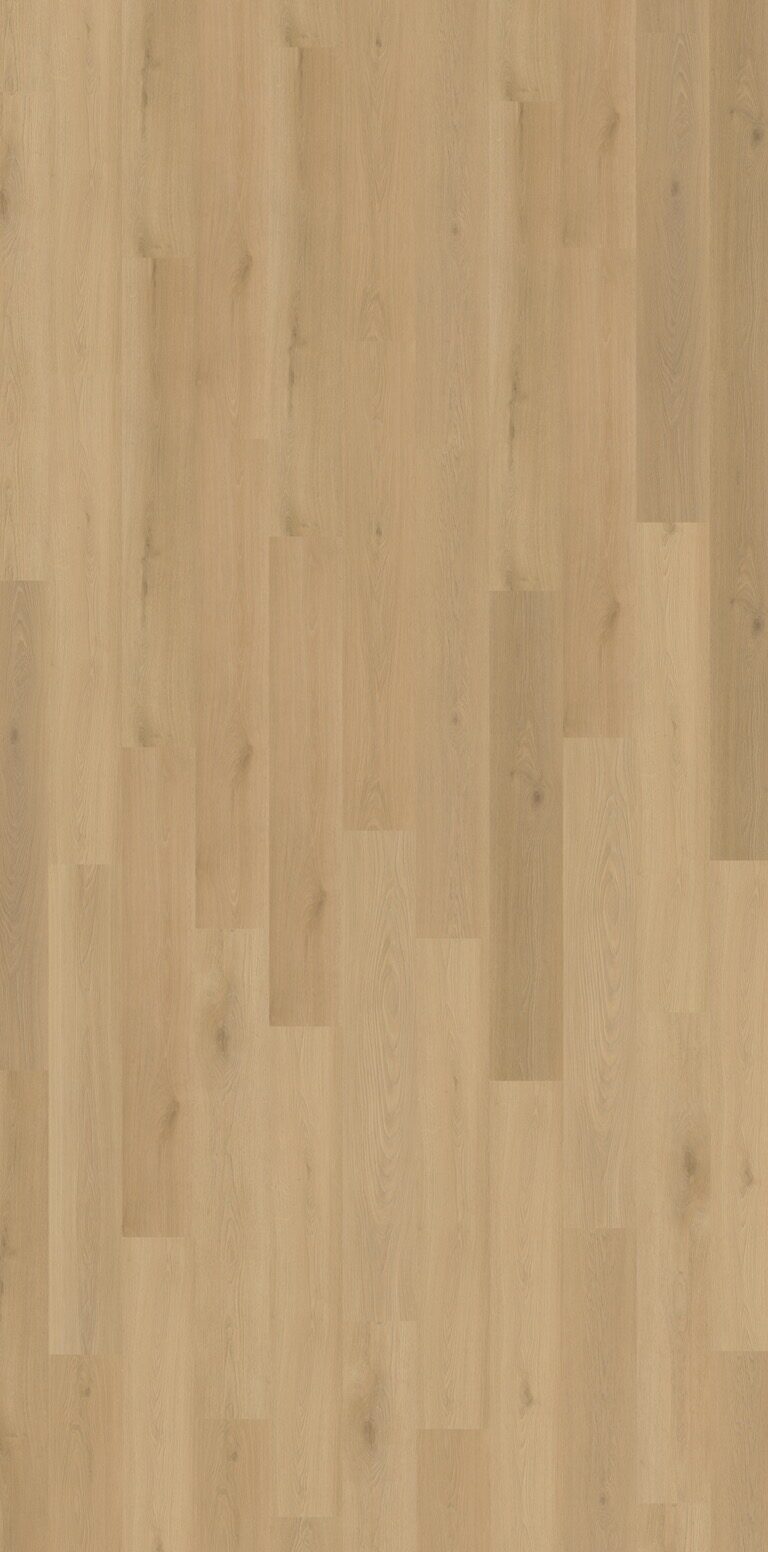 belakos borgo 300 plak pvc