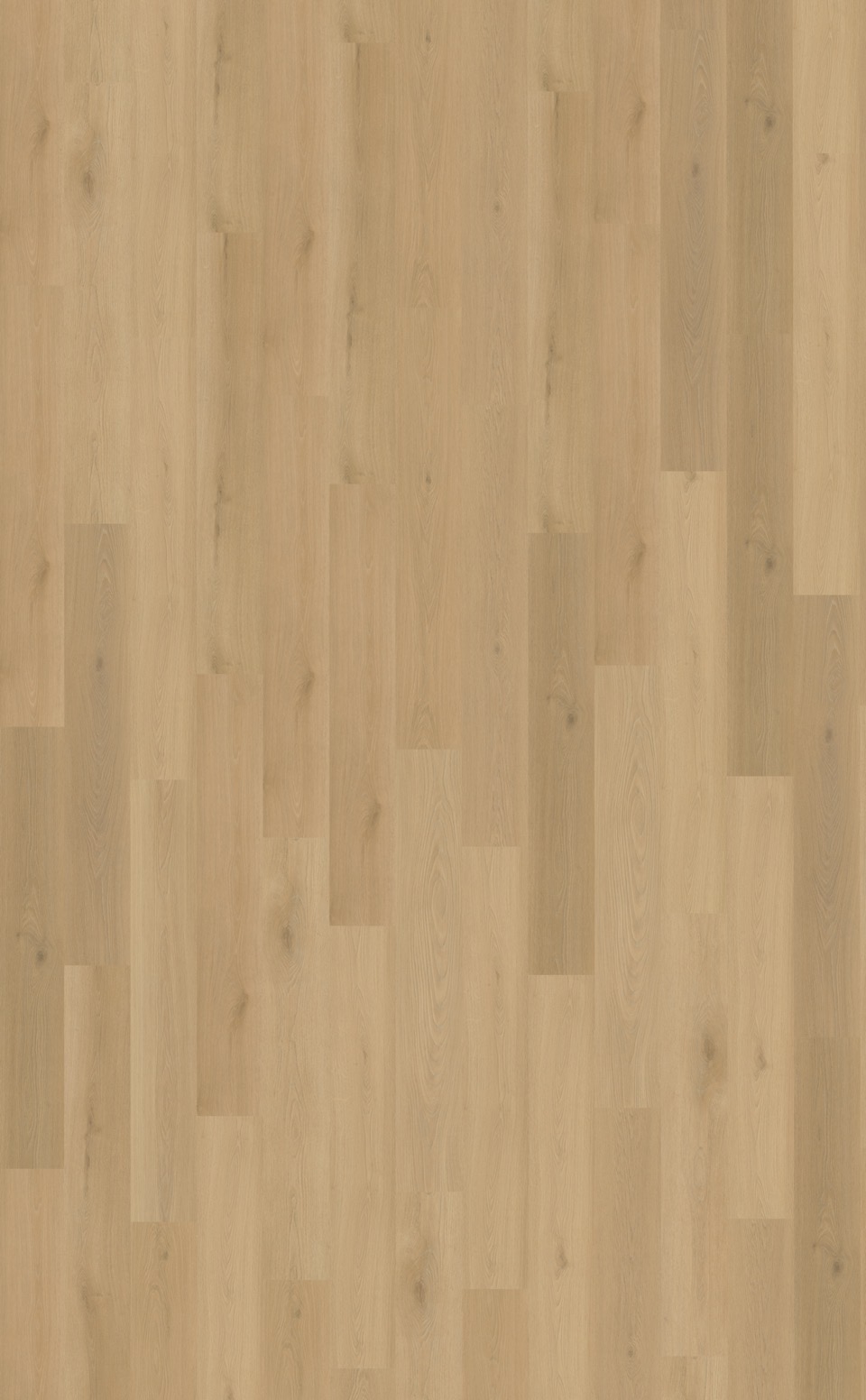 belakos borgo 300 plak pvc