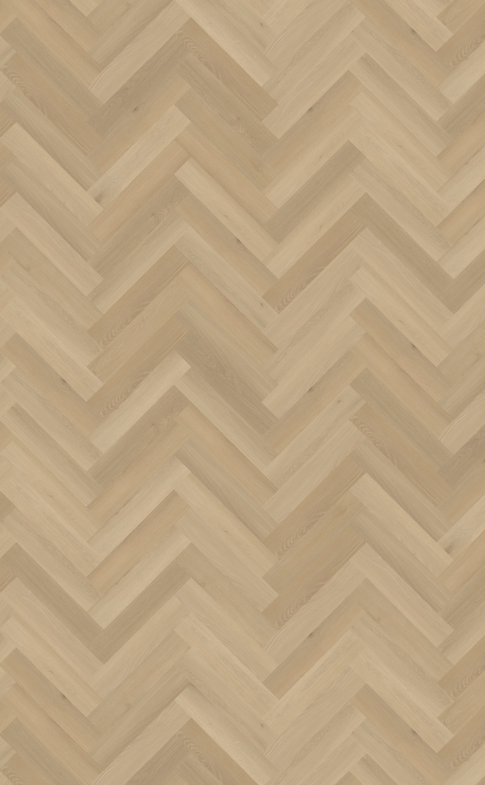 belakos borgo visgraat xl 31 plak pvc