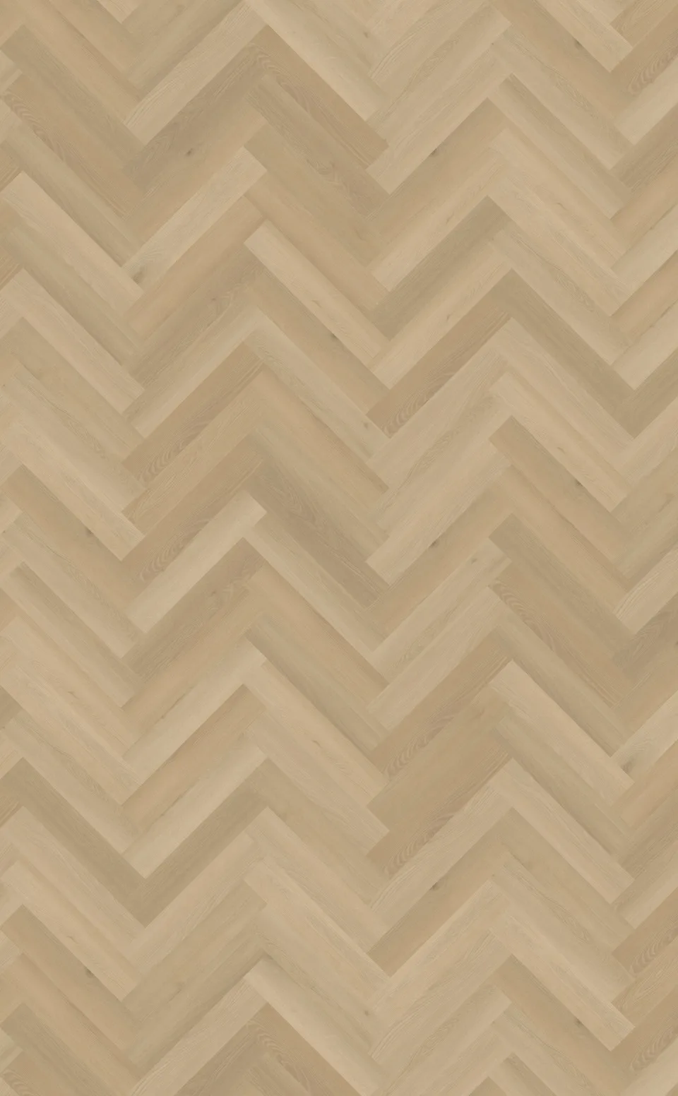 belakos borgo visgraat xl 31 plak pvc