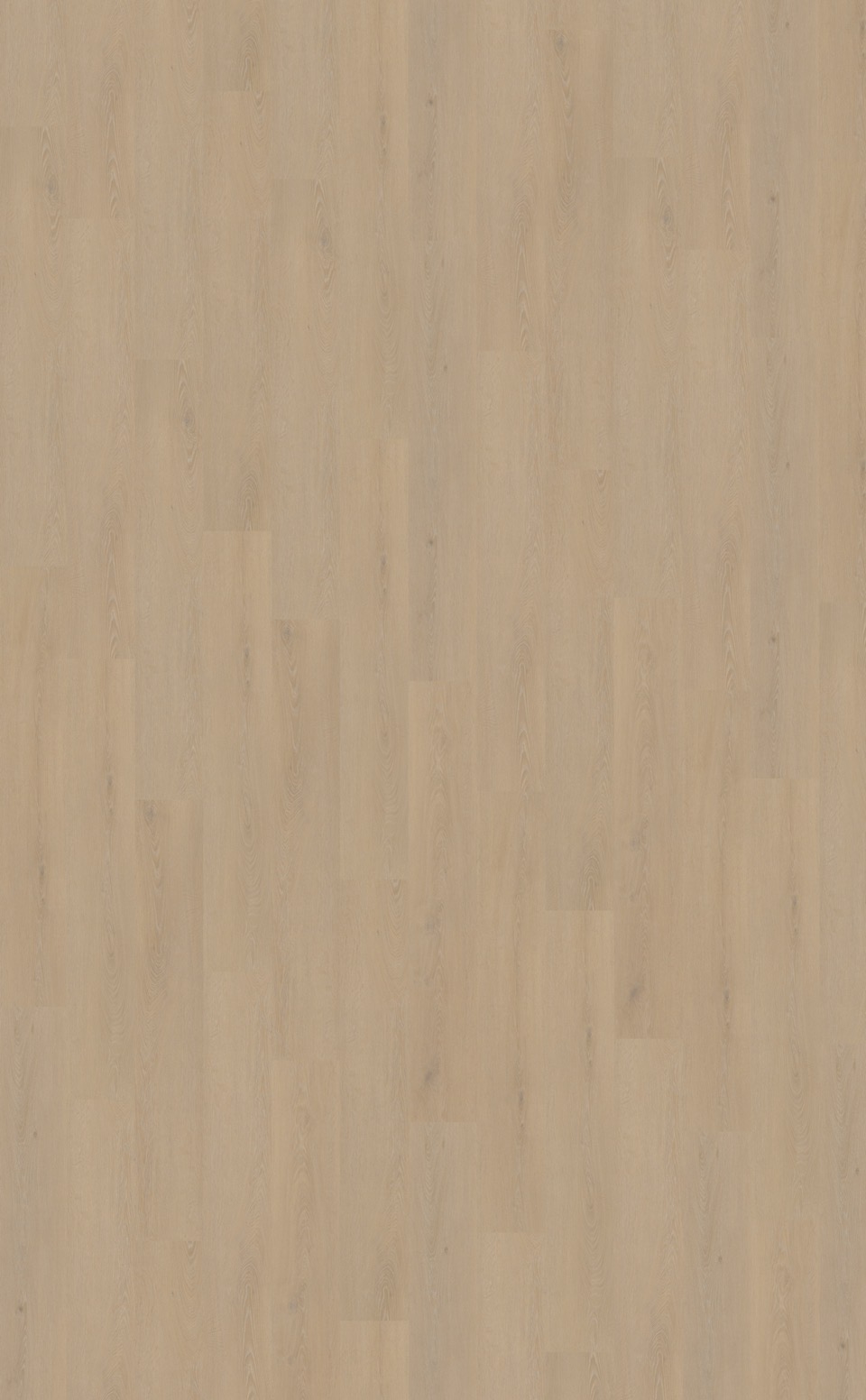 belakos cervo 200 rigid click pvc